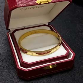 Cartier New Fashion Bracelets（14 styles)-2044